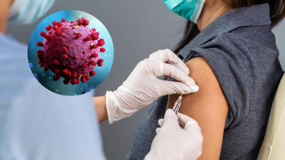 Vacuna contra el Covid-19: cuándo y qué vacunas aplicarán este 2023