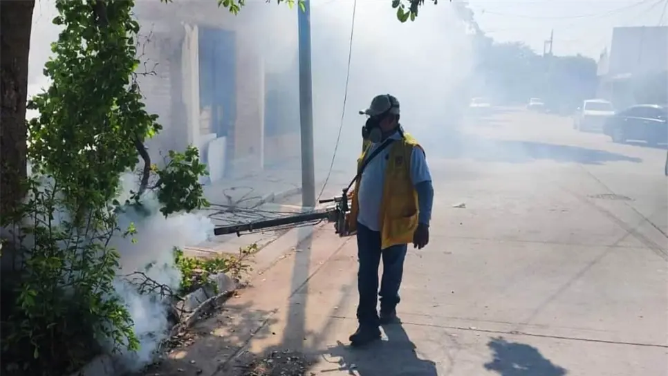 Vecinos de Los Mochis se quejan de la propagación de moscos tras las lluvias. Foto: Osmar Zavala.