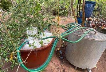Marina desmantela tres laboratorios clandestinos en el poblado de Tachinolpa, Culiacán