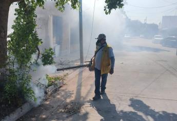 Proliferan moscos en Los Mochis, refuerzan fumigación y limpieza