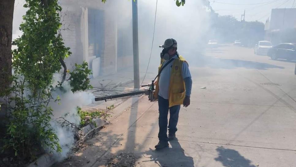 Proliferan moscos en Los Mochis, refuerzan fumigación y limpieza