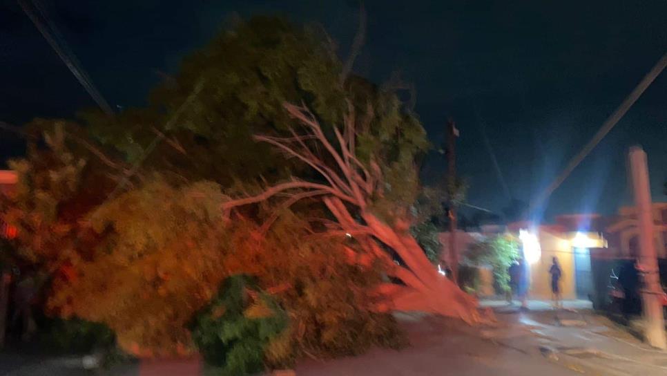 Borrasca en Los Mochis; rachas de viento de 40 km/h dejan varias colonias sin luz