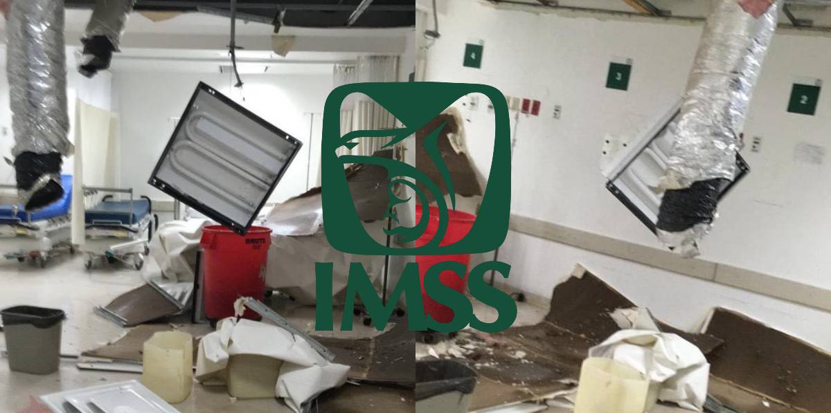 FOTO: Luz Noticias.