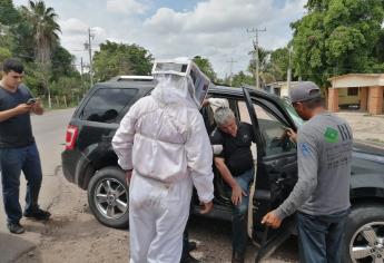 Rescatan a tres hombres de morir picados por abejas en Ahome, uno tenía 800 aguijones