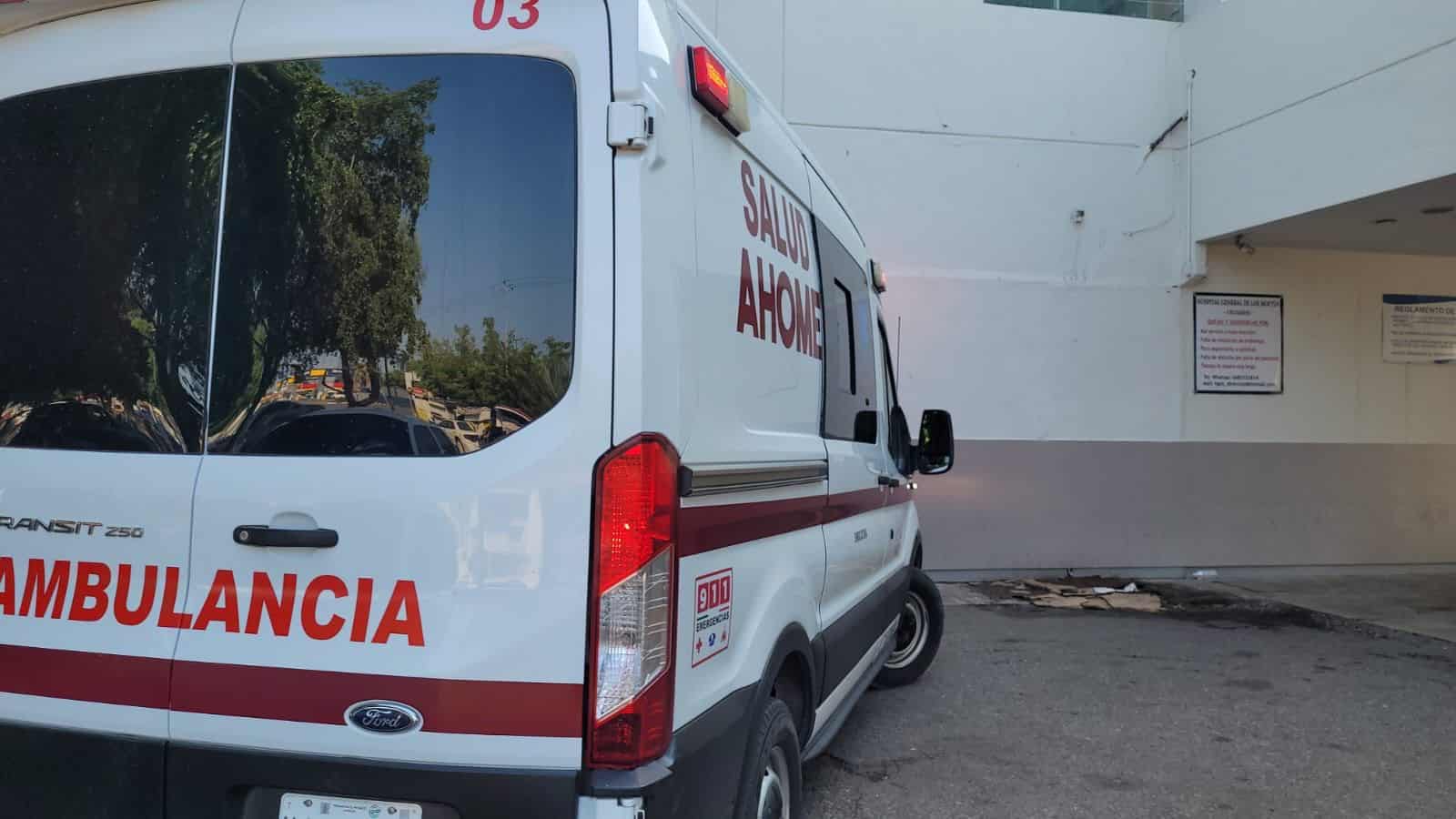 FOTO: Temática | Luz Noticias.