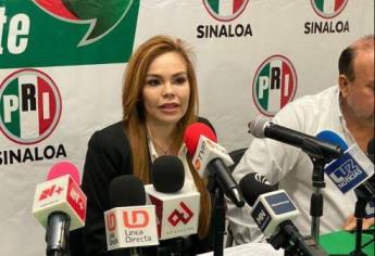 La austeridad republicana no se reflejó en fiesta del hijo de AMLO en Culiacán: Paola Gárate