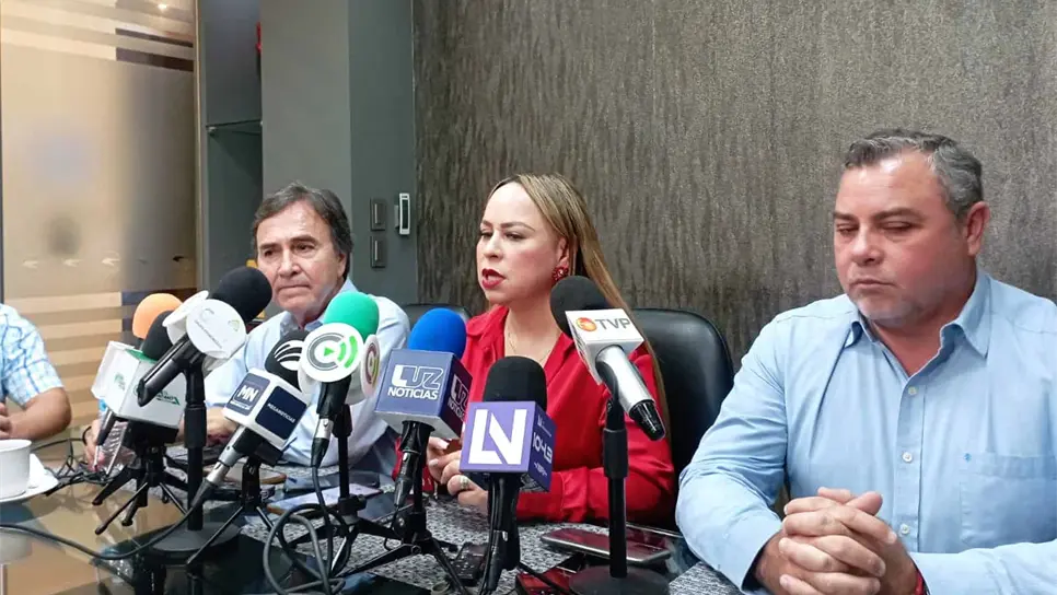 Dulce María Ruiz Castro, Presidenta de AMMJE. FOTO: Esthela García.