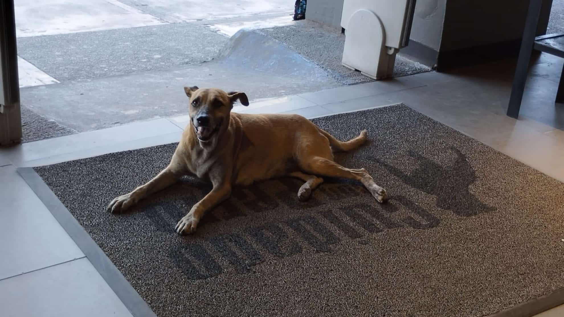 FOTO: Esthela García.