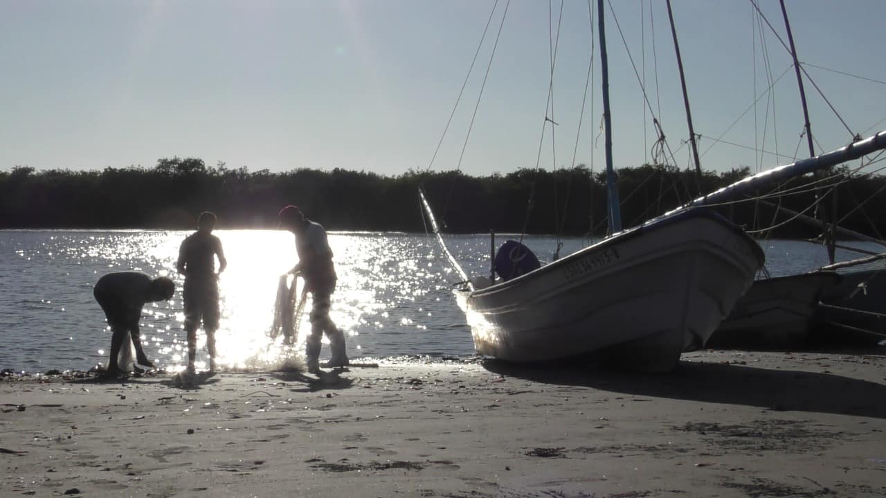 Los trabajadores del mar ya se preparan para salir a las capturas de camarón. FOTO: Luz Noticias.