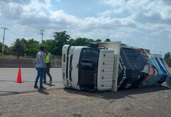 Vuelca camioneta cargada de triplay en la México 15 en Juan José Ríos