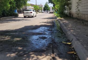 Denuncian brote de aguas negras en la Toledo Corro de Los Mochis