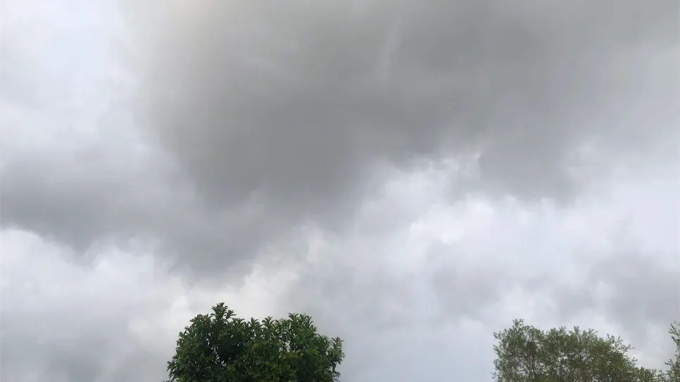 La suspensión ya se hizo oficial en prácticamente todos los planteles posiblemente afectados. FOTO: Luz Noticias