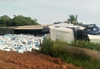 Vuelca tráiler cargado de fertilizante en la Calle 300, cerca del Cefereso de Guasave