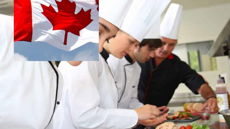 Restaurante en Canadá ofrece empleo con paga de hasta $34 mil al mes