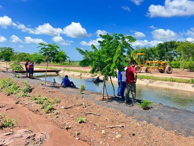 Imagen Placeholder Imagen Placeholder