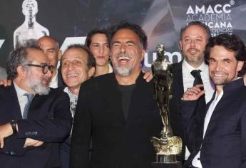 Premios Ariel 2023: estos son los ganadores