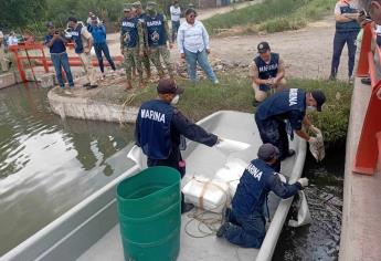 Con dos puentes busca Ahome solucionar contaminación de agua por fertilizantes