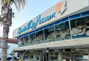 Próxima apertura del Museo de las Conchas en Mazatlán: será a finales del 2023
