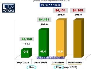 Debilitamiento del Sector Exportador de Granos en Estados Unidos impacta en precios internacionales