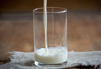 ¿Cuáles son las mejores marcas de leche?, según estudio de la Profeco