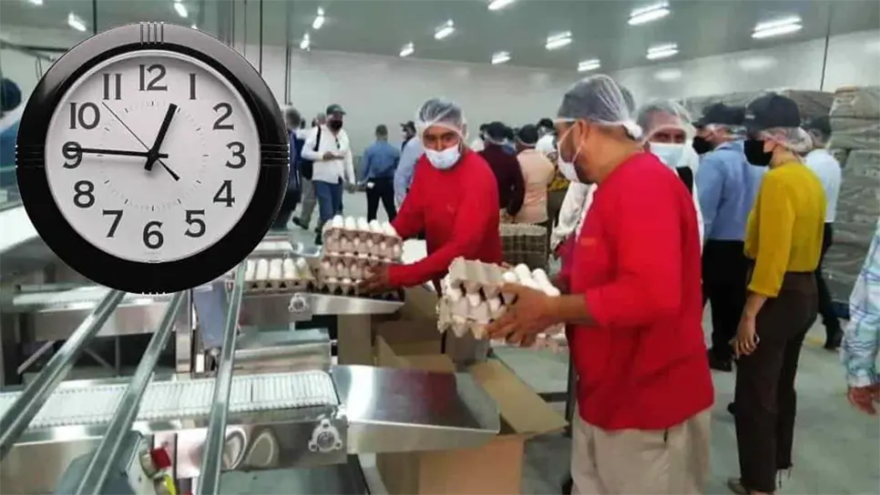 ¿Quiénes gozarán de la reducción laboral?. | FOTO: Temática.