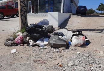 No hay servicio de recolección de basura en Mazatlán; trabajadores de aseo urbano paran labores 