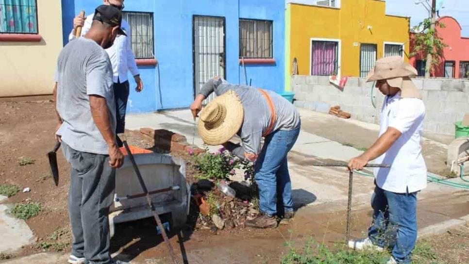 Hasta 50 tomas clandestinas detecta por semana la Jumapam en colonias de Mazatlán