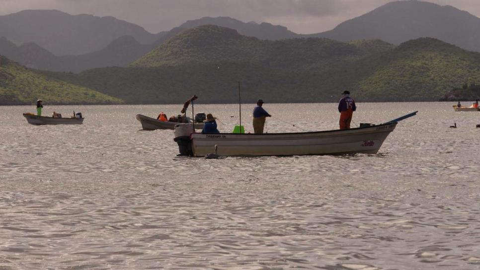 Saquean camarón en Topolobampo con artes de pesca ilegales
