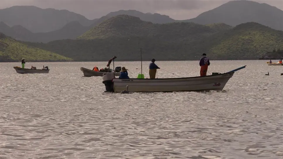 Pescadores en la bahía de Topolobampo.
