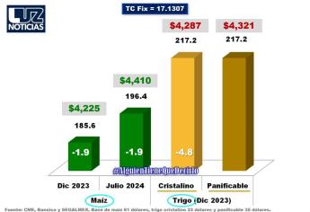 Maíz cae al precio más bajo en tres años 