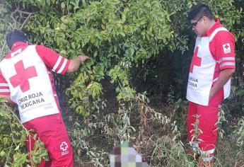 Encuentra a una persona sin vida en su patio, en la colonia Jardines del Valle, Guasave.