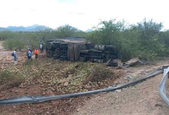 Vuelca torton cargado con 17 toneladas de sandía en Ahome