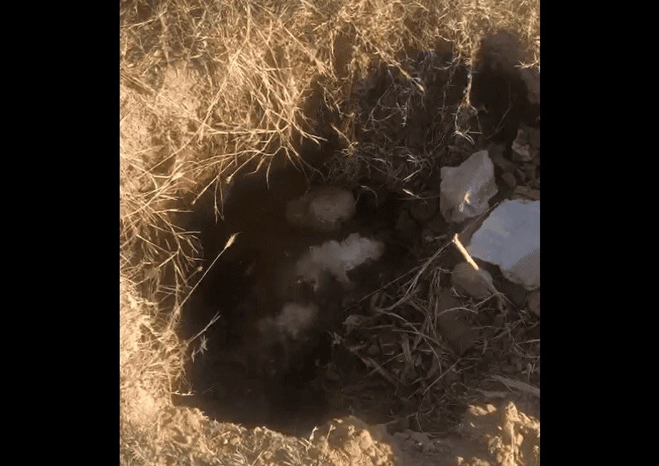 FOTO: Captura de video.