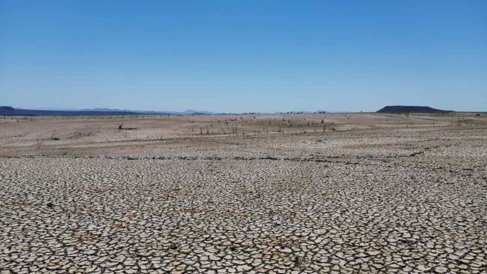 Mapa de sequía en México: Así se ve Sinaloa entre los estados que sufren por falta de agua