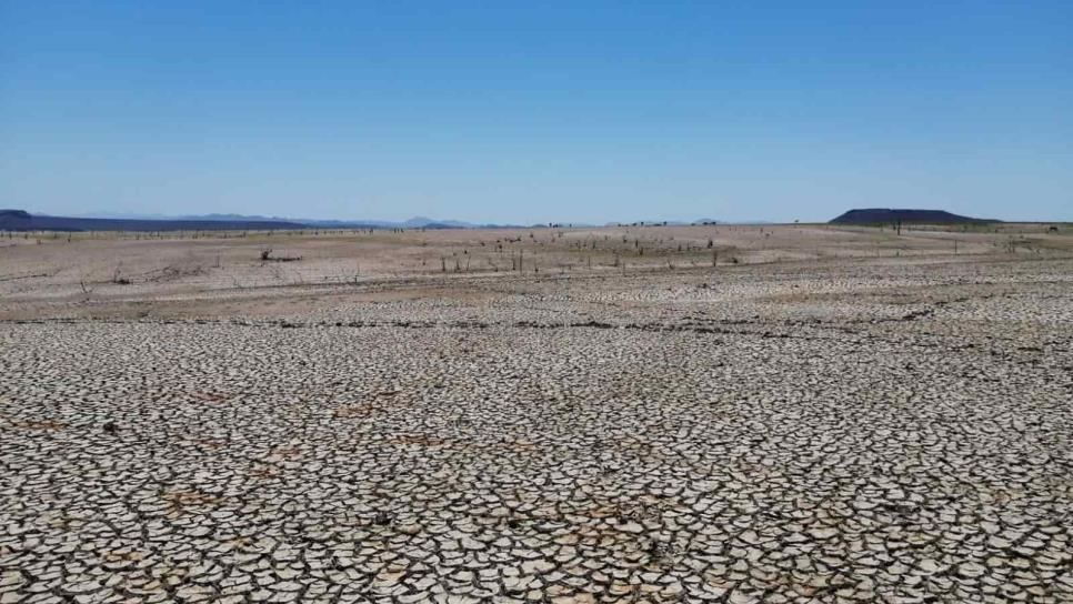 «Desaire» de fenómenos meteorológicos al norte de Sinaloa incrementa alerta por sequía: Gildardo Leyva