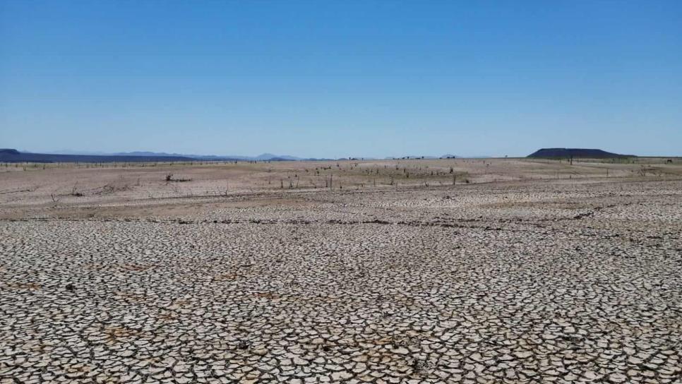 Baja nivel de las presas en Sinaloa se reduce al 28.9 %