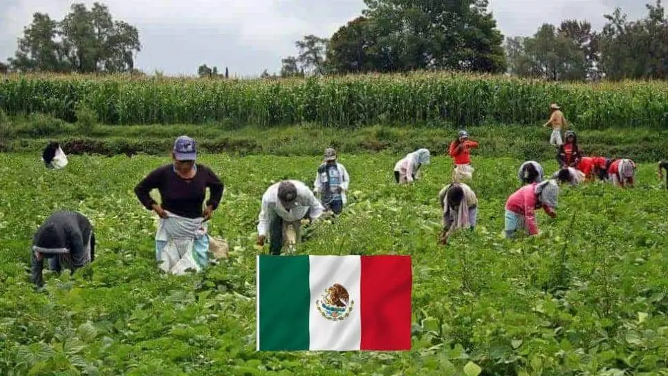FOTO: Las horas de trabajo en México son extensas.