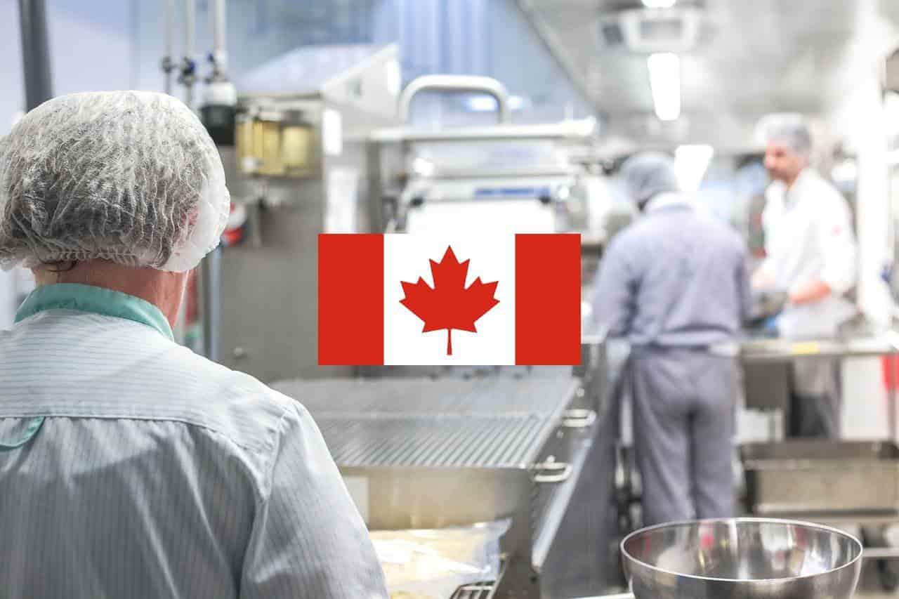 FOTO: Empleo en Canadá.