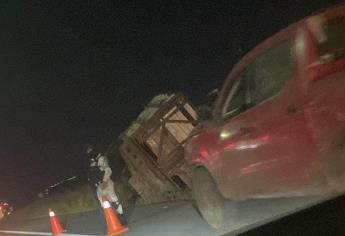 Vuelca camión cargado con ganado en La Costerita, en Culiacán