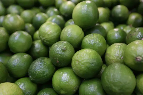 Se viene un repunte en el precio del limón y aguacate por Semana Santa  Se viene un repunte en el precio del limón y aguacate por Semana Santa