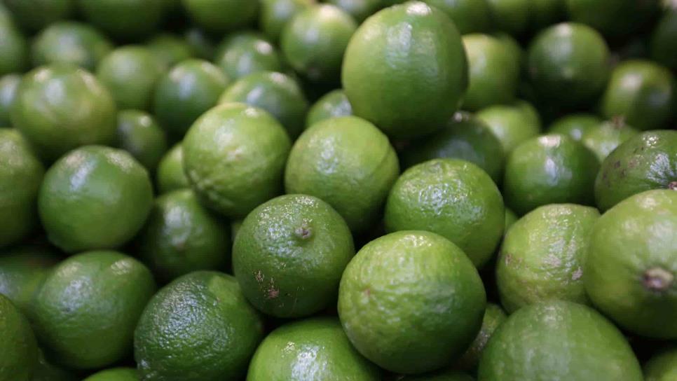 Se viene un repunte en el precio del limón y aguacate por Semana Santa 