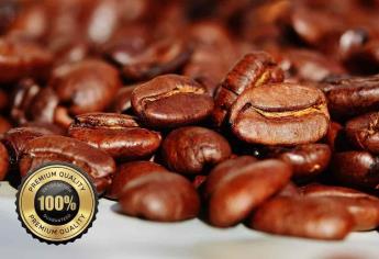 Los mejores cafés de México en 2023, revelados por concurso Cup of Excellence