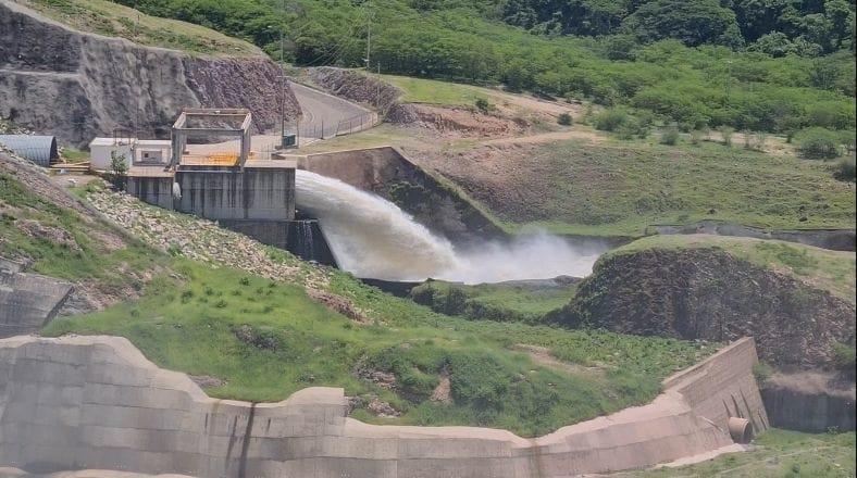 Por falta de lluvias, el pronóstico de los Picachos es desalentador: Protección Civil