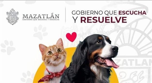 Imagen Placeholder
