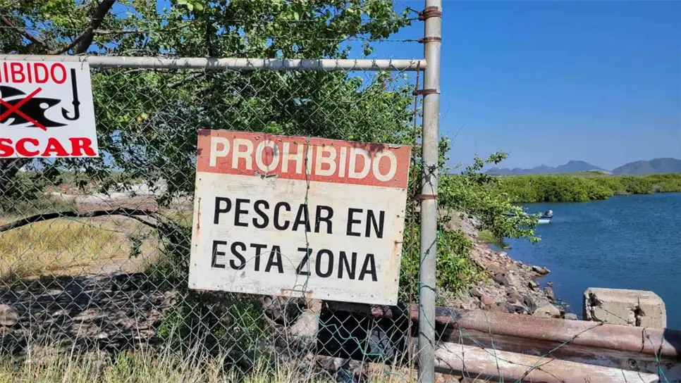 El cuerpo fue hallado en las inmediaciones de la Termoeléctrica de Topolobampo. FOTO: Ernesto Torres.