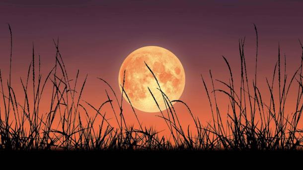 La superluna del año: ¿qué es  y cómo ver la Luna de Cosecha 2023?