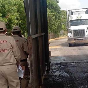 Camarón de Centroamérica golpea a pescadores de Sinaloa
