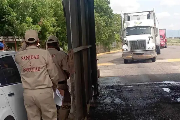 Camarón de Centroamérica golpea a pescadores de Sinaloa Camarón de Centroamérica golpea a pescadores de Sinaloa