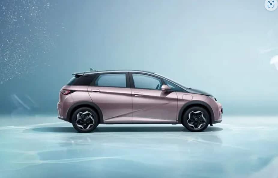 El Dolphin cuenta con una estética envidiable.