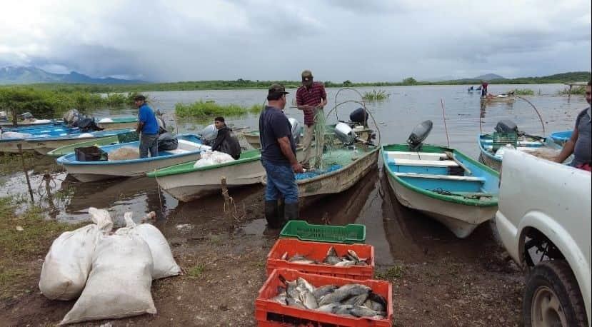 Se levanta este fin de semana la veda en la presa El Salto, en Elota